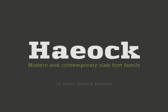 Haeock Family: A Bold and Vintage-Inspired Slab Serif Font for Impactful Design